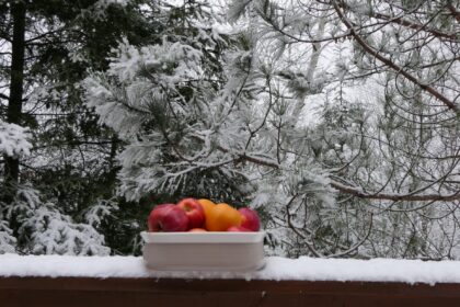 Apples